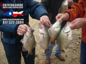 crappie fishing - North Texas Catfish Guide Service