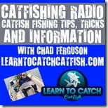 Learn To Catch Catfish Catfishing Radio Podcast Logo