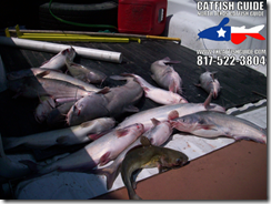 bishop_april_17_north_texas_catfish_guide