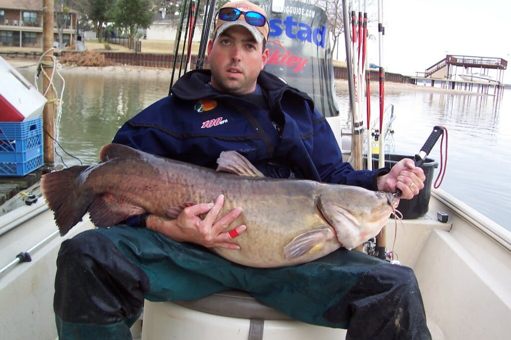 Texas Flathead Catfish