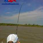 Eagle Mountain Lake Blue Catfish