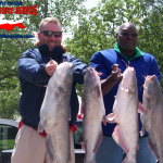 texas blue catfish