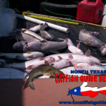 Eagle Mountain Lake Blue Catfish