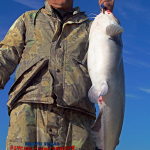 Lake Lewisville Trophy Blue Catfish