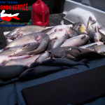 Eagle Mountain Lake Blue Catfish