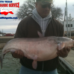 Eagle Mountain Blue Catfish