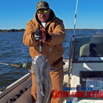 Lake Lewisville Blue Catfish