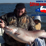 Lake Lewisville Blue Catfish