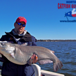 Texas Blue Catfish