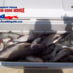 Eagle Mountain Lake Blue Catfish