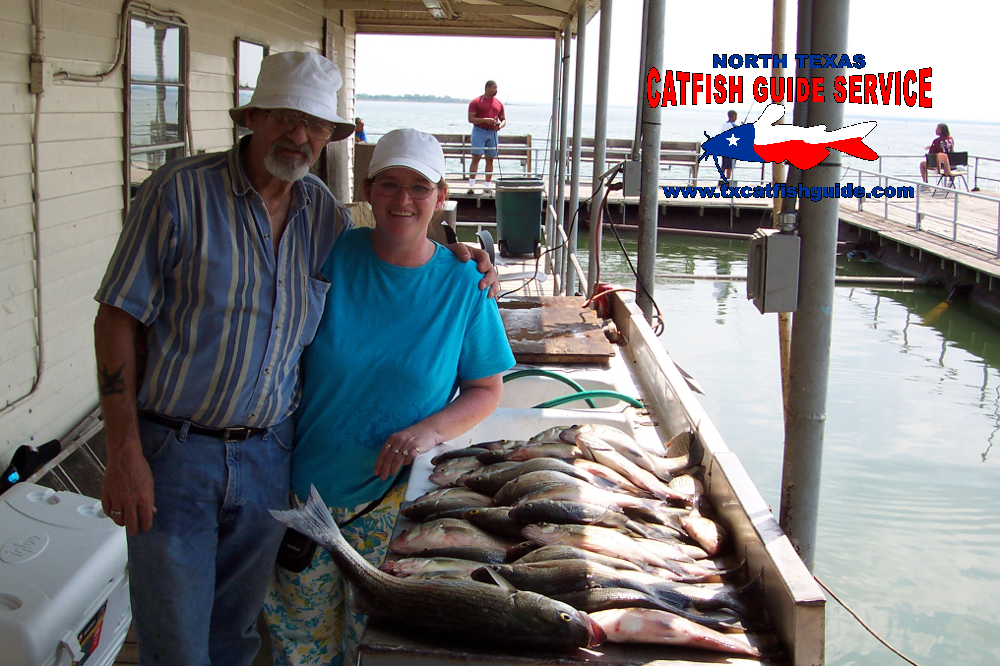 White Bass and Hybrid Striped Bass - North Texas Catfish Guide