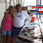 texas white bass fishing sandbass