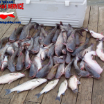 Lake Lewisville Catfish