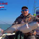 Lake Lewisville Blue Catfish