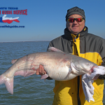 Lake Lewisville Blue Catfish