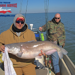 Lake Lewisville Blue Catfish