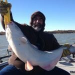 Blue Catfish North Texas Catfish Guide Service