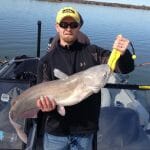 Texas Winter Blue Catfish