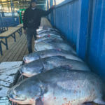 Fort Worth Fishing Guide Catfish