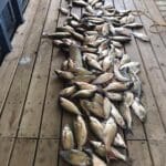 Fort Worth Fishing Guide Service