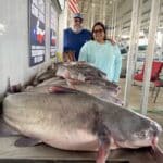 Eagle Mountain Lake Fishing Charter Blue Catfish