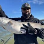 Fall and Winter Catfish Eagle Mountain Lake Fort Worth Texas