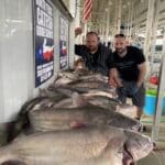 Fall and Winter Catfish Eagle Mountain Lake Fort Worth Texas