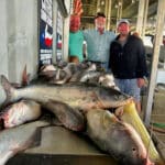 North Texas Catfish Guide Service Spring Fishing