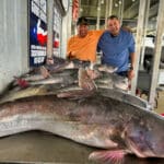 Fort Worth Fishing Guide