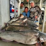 North Texas Catfish Guide Service Spring Fishing