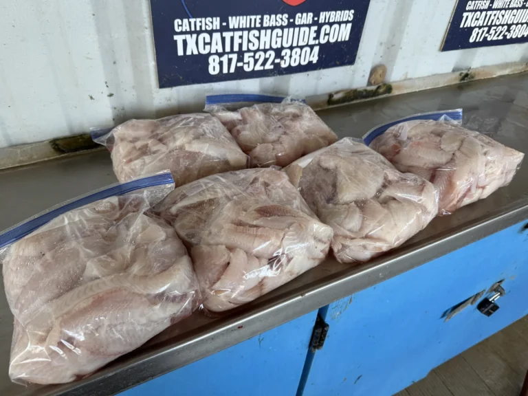 Six bags of fresh catfish fillets under the North Texas Catfish Guide Service sign